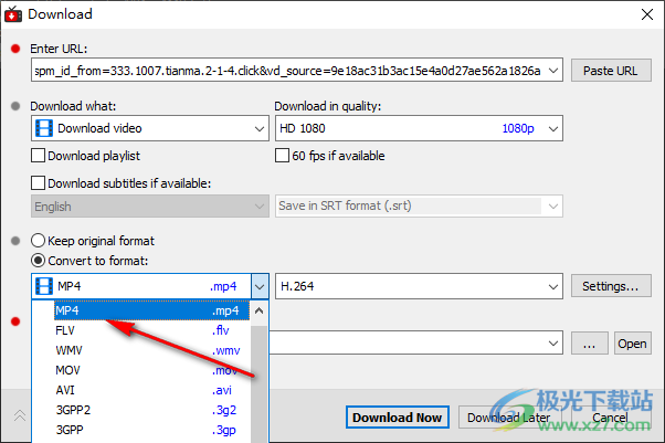 YT Downloader(视频下载器)