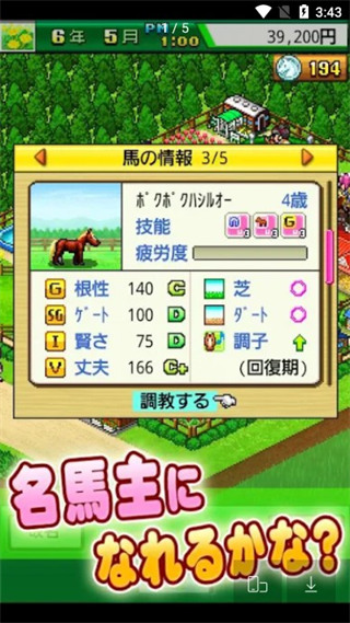 顶级跑马牧场官方正版