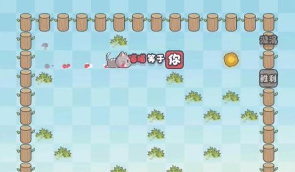 这不是推箱子最新版