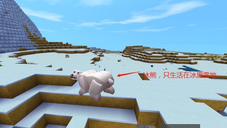 迷你世界不用实名认证版2024最新版