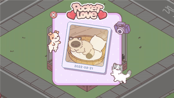 袋中爱中国之家游戏app