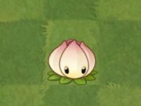 植物大战僵尸2破解版无限钻石无限金币无限阳光2024最新版