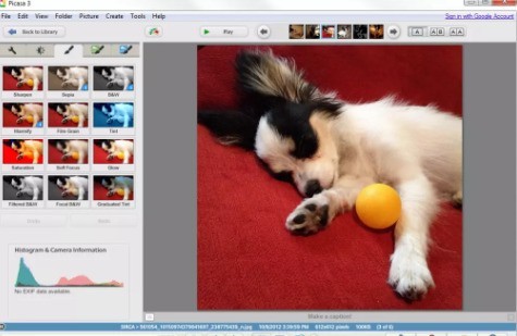 Google Picasa(图片管理工具) 