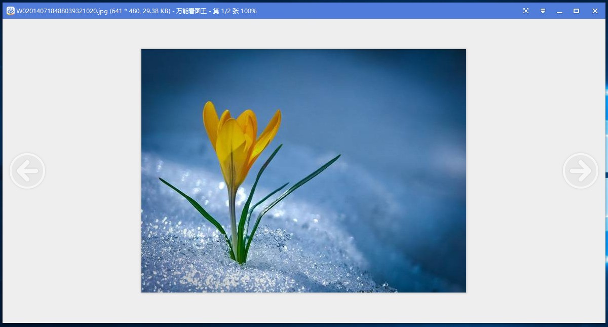 万能看图王(好用的看图软件)
