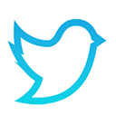 飞鸟下载器电脑版