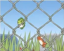 旅行青蛙2024最新版本