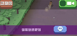 疯狂动物园九游版app