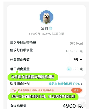 嗷呜猫狗食谱手机app