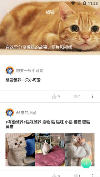 握爪宠物App