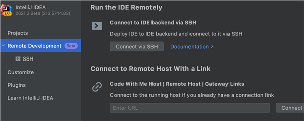 IntelliJ IDEA2021电脑版