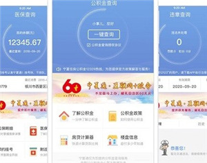 宁政通app官方版