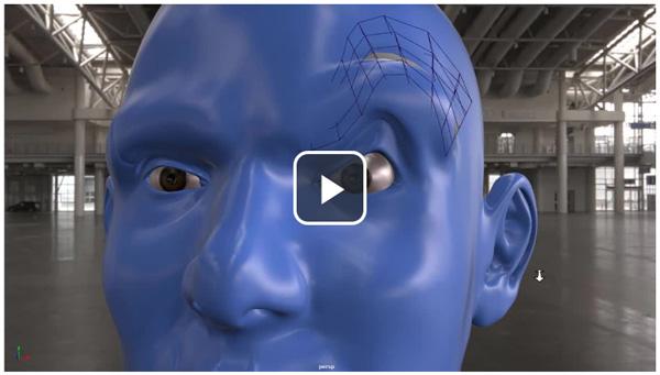 Autodesk Maya 2020官方版