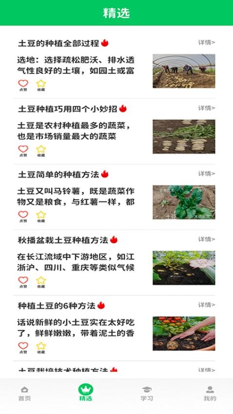 合成小土豆正式版