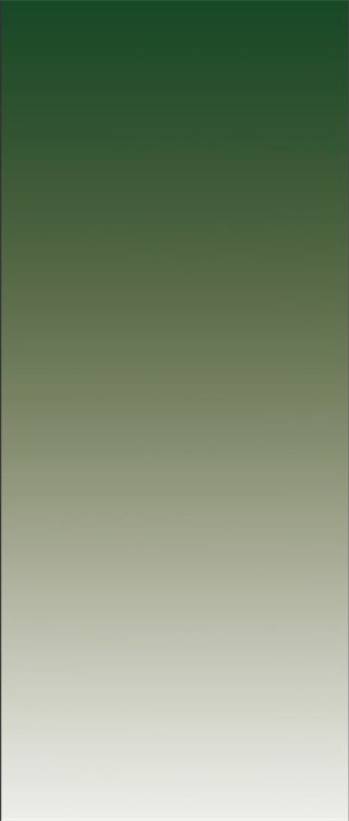 Adobe Photoshop CS4中文版