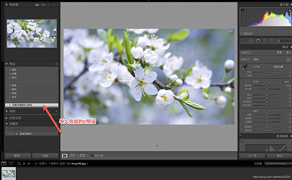 adobe lightroom classic 2022中文破解版