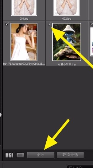 adobe Lightroom classic2021中文版