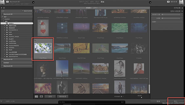 adobe lightroom classic 2022中文破解版