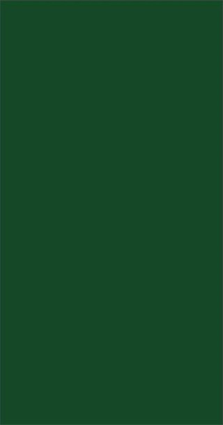 Adobe Photoshop CS4中文版