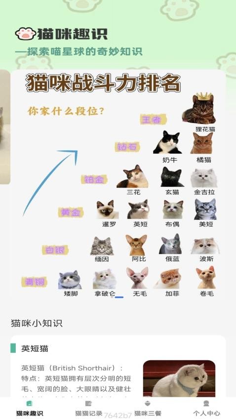 猫咪趣看官方版
