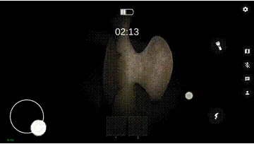 鬼魂恐怖生存国际版