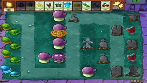 植物大战僵尸false版