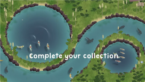 锦鲤农场完整版