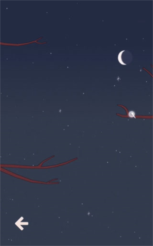 孤独的鸟儿中国版