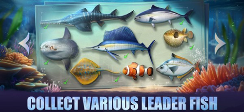 鳞光海域最新版