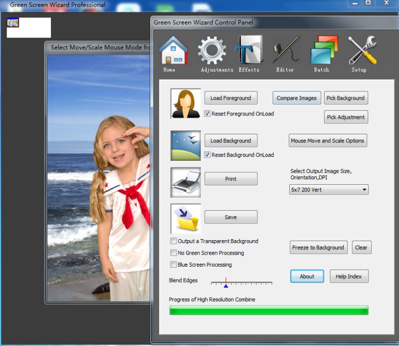 Green Screen Wizard(背景去除工具)