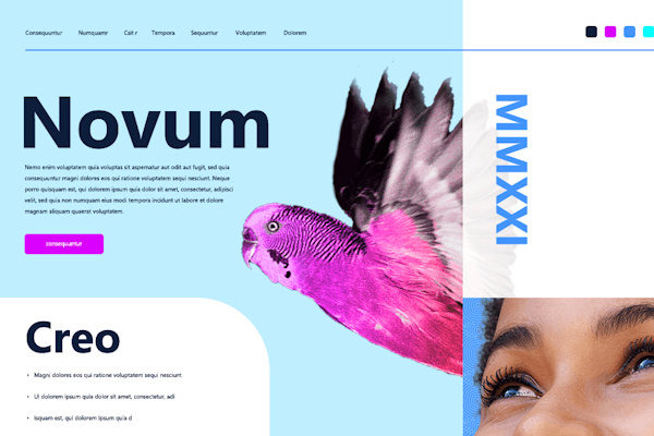 Corel PaintShop Pro 2022(图像设计软件)