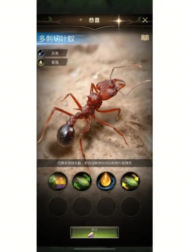 小小蚁国oppo平台