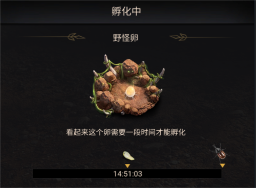 小小蚁国华为渠道服