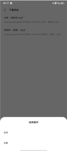 歌词适配纯净版