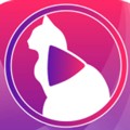 小猫直播视频软件