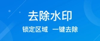 水印消除大师app
