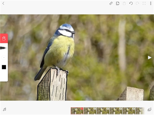 flipaclip动画制作app最新版
