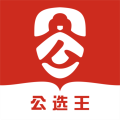 公选王app
