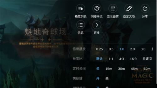 mx player专业版破解版