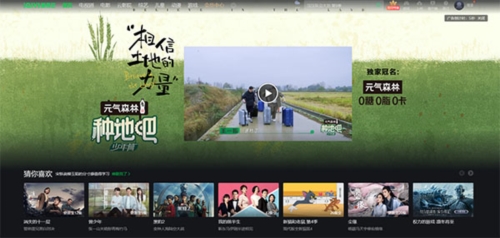 奇异果TV app
