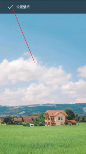 大米星球2024已更新版