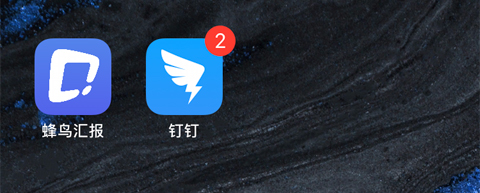 蜂鸟汇报app