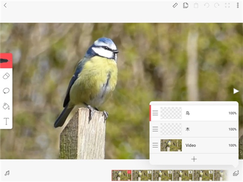 flipaclip动画制作app最新版