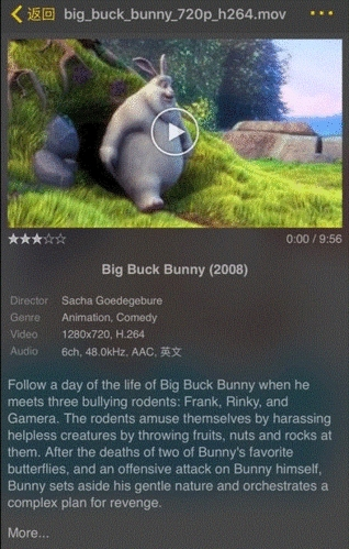 nplayer plus安卓版最新版本