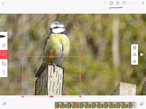 flipaclip动画制作app最新版