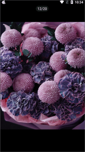 云选鲜花批发app