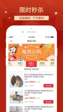 拍拍猫app