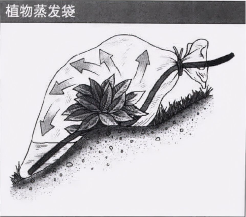 迷失蔚蓝测试服