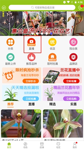 兰花交易网app