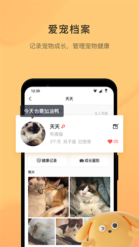 宠明app