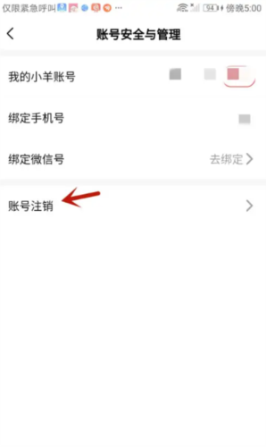 小羊秘籍最新版